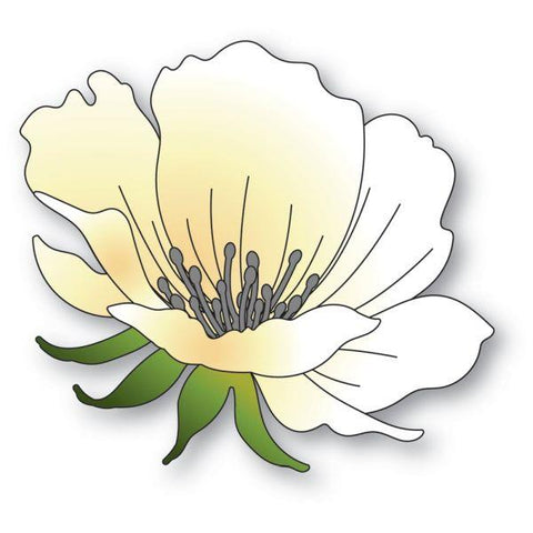 Anemone Bloom - Die