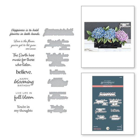 Nature's Botanical Garden Collection - Nature's Botanical Garden Sentiments Press Plate & Die Set