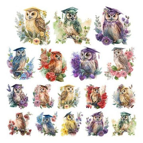 Colorful Commencement - Ephemera  - Owls