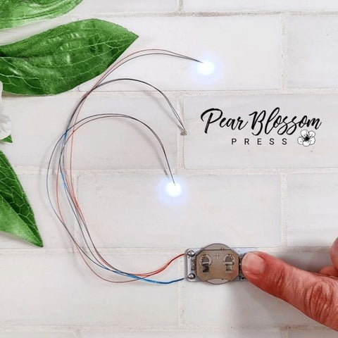 Twinkle Light (2 pack)