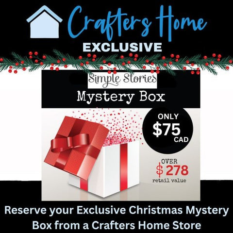 Christmas Mystery Box - PREORDER - (over $278 value)