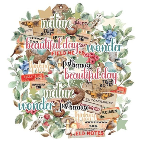 Botanical Chronicles - Creative Cuts