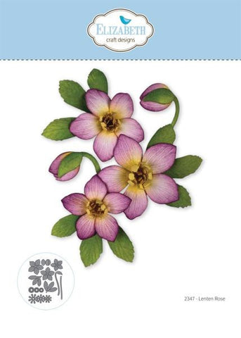 Beautiful Blooms - Lenten Rose - Dies