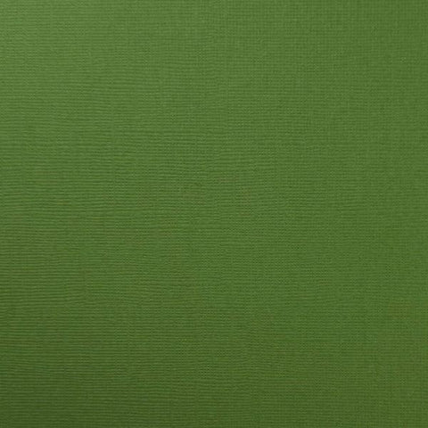 Canvas Texture Cardstock - Desert Cactus