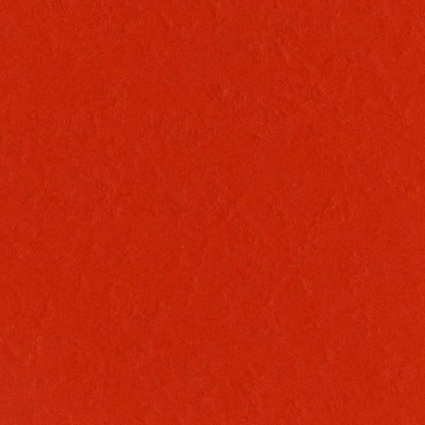 Fourz Cardstock - Classic Orange