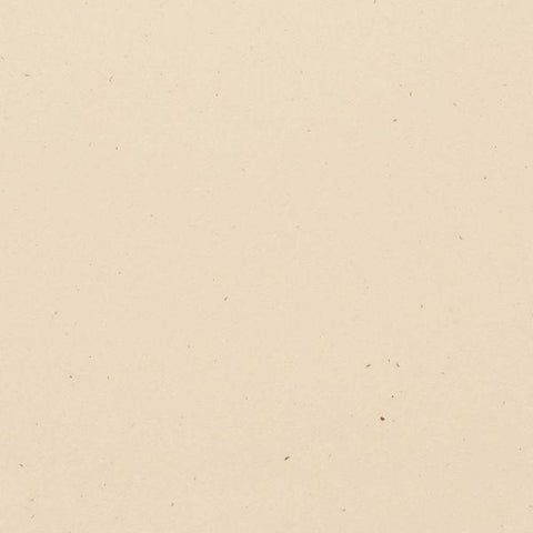 Speckle Cardstock - Travertine