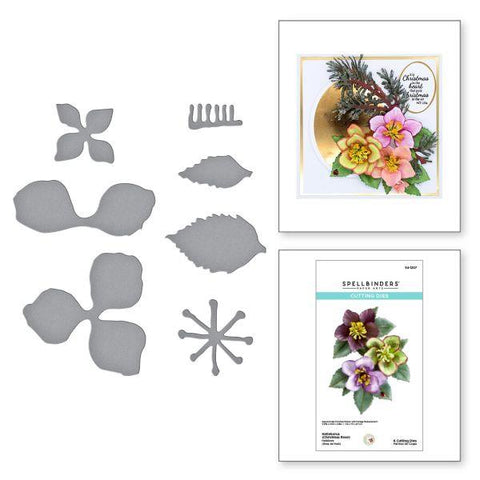 The Winter Garden Collection - Helleborus (Christmas Rose) - Dies