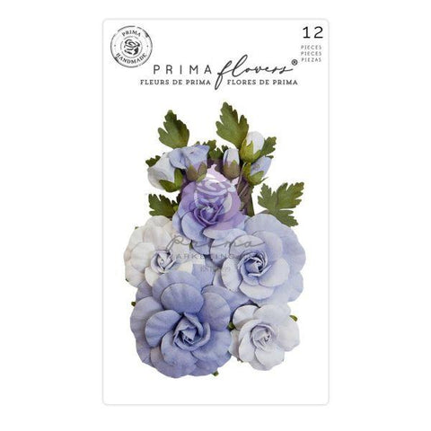 The Plant Department - Flowers - Sweet Blue